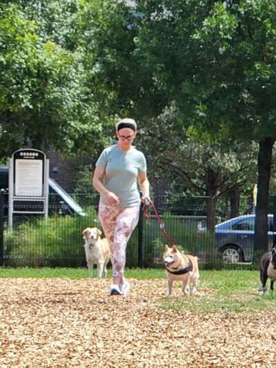 Domain Central Parks - Austin, TX