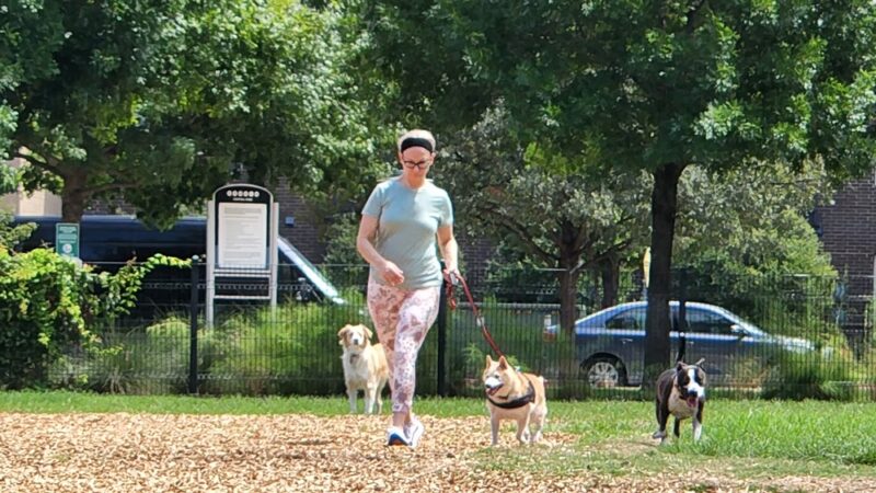 Domain Central Parks - Austin, TX