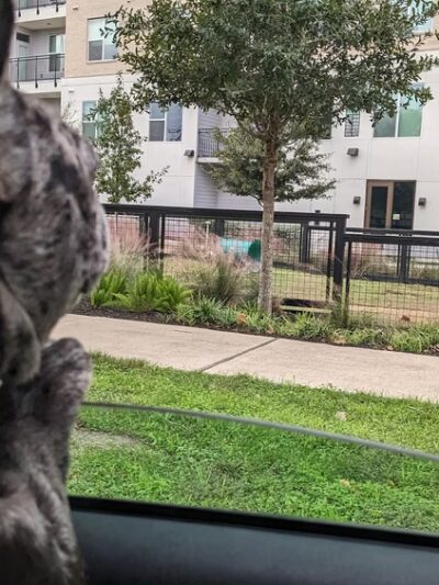 Esperanza Crossing Dog Park - Austin, TX