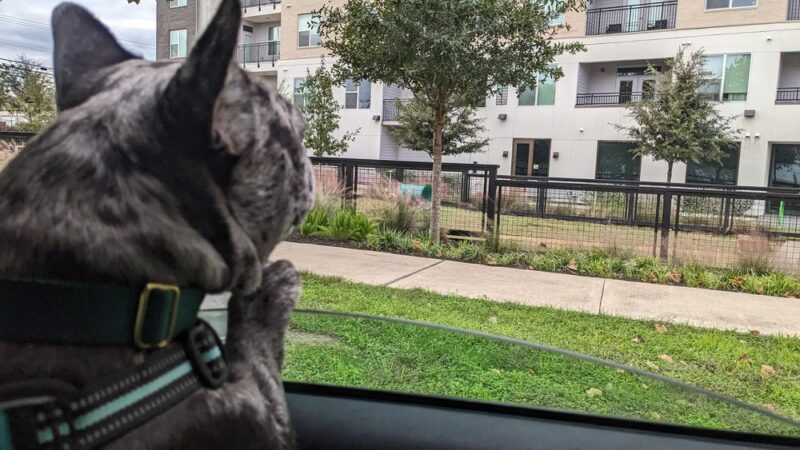 Esperanza Crossing Dog Park - Austin, TX