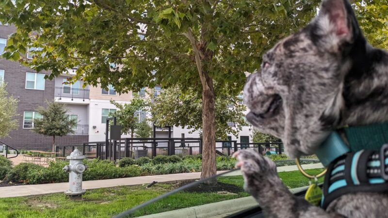 Esperanza Crossing Dog Park - Austin, TX