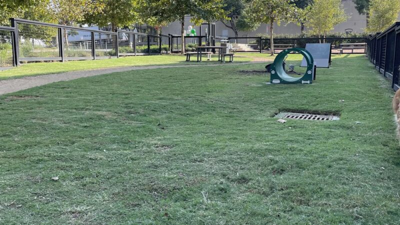 Esperanza Crossing Dog Park - Austin, TX