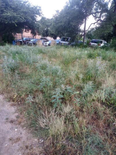 Georgian Acres Neighborhood Park - Austin, TX