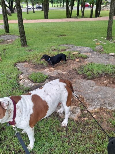 Greenbrier Park - Austin, TX