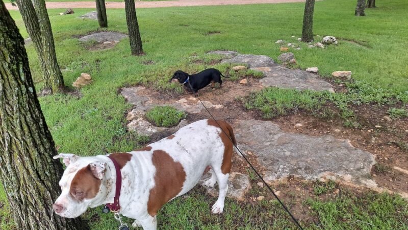 Greenbrier Park - Austin, TX