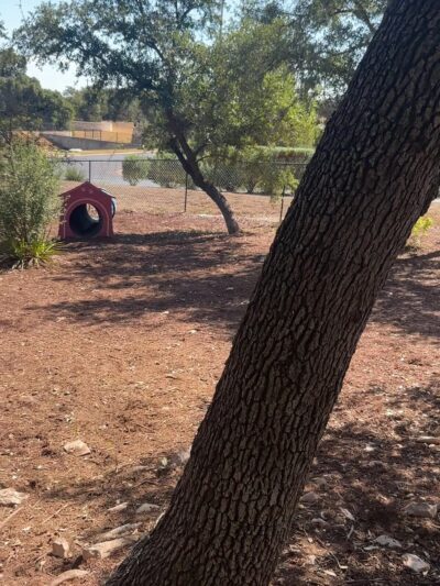 Jake’s Place Dog Park - Austin, TX