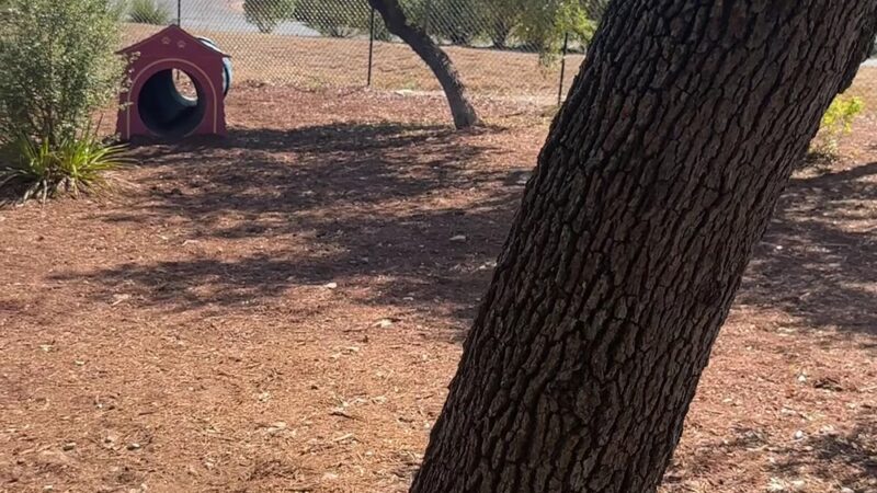 Jake’s Place Dog Park - Austin, TX