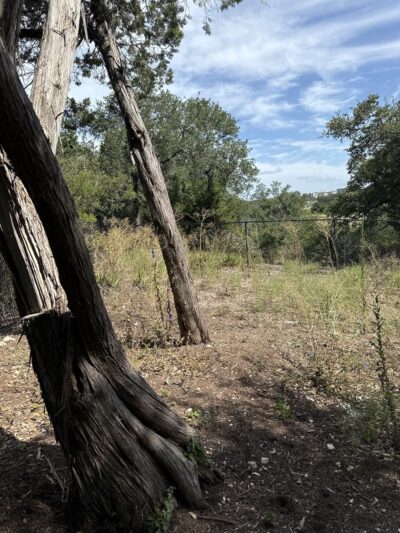 Jake’s Place Dog Park - Austin, TX