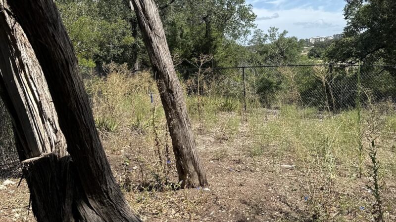 Jake’s Place Dog Park - Austin, TX