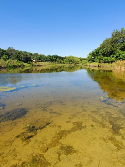 Lake Creek Trailhead Picnic Area - Austin, TX