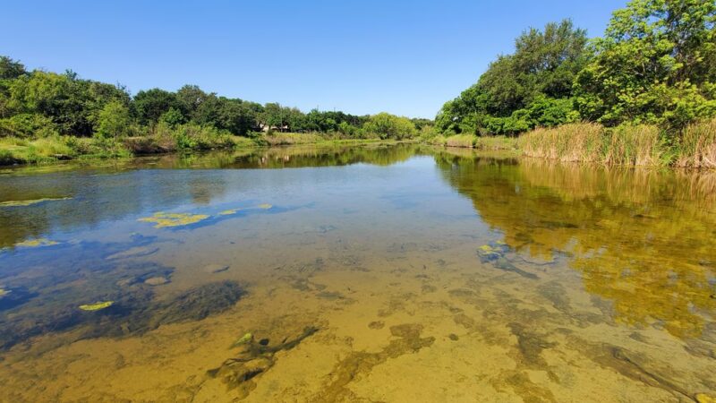 Lake Creek Trailhead Picnic Area - Austin, TX