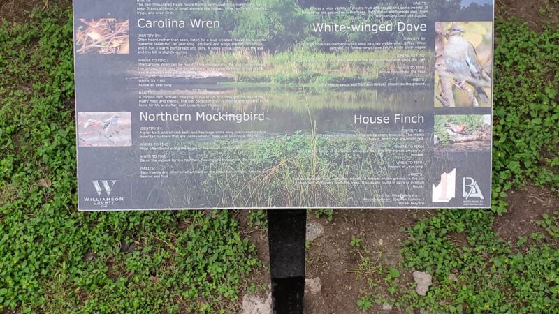Lake Creek Trailhead Picnic Area - Austin, TX