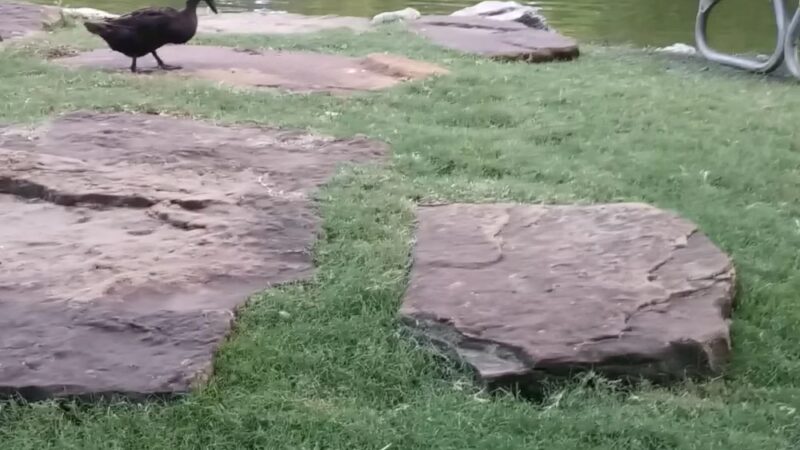 Lindshire Park - Austin, TX