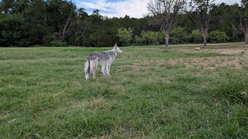 Longview Neighborhood Park - Austin, TX