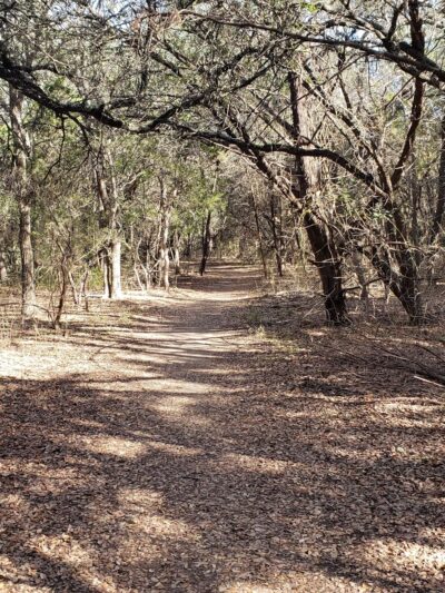 Longview Neighborhood Park - Austin, TX