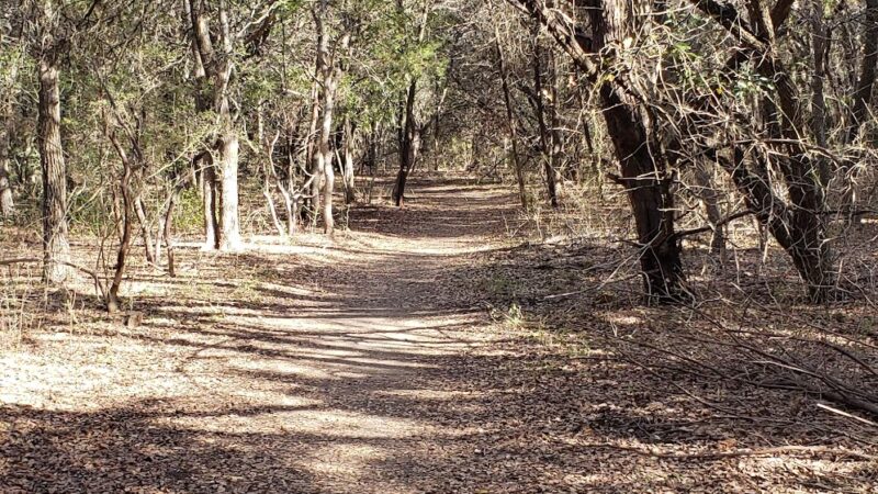 Longview Neighborhood Park - Austin, TX