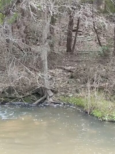 Mary Moore Searight Metropolitan Park - Austin, TX