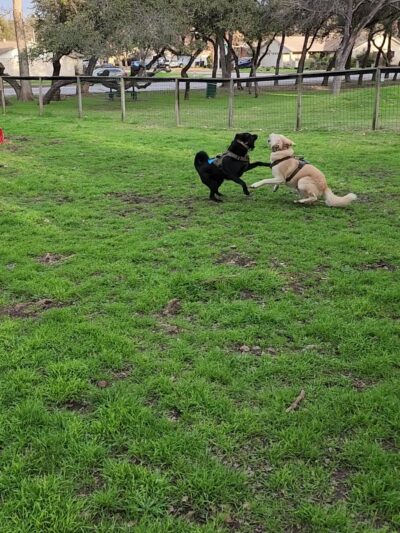 Millrun Park - Austin, TX