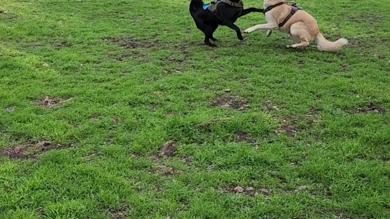 Millrun Park - Austin, TX