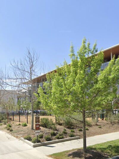 Mueller Dog Run - Austin, TX