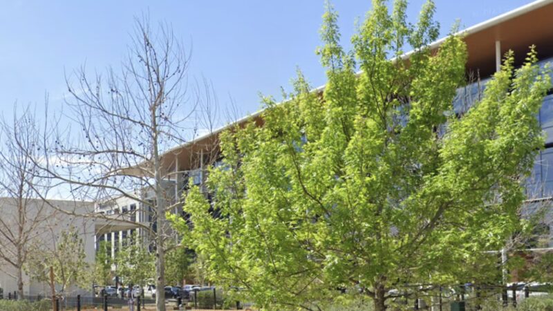 Mueller Dog Run - Austin, TX