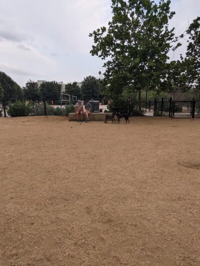 Mueller Dog Run - Austin, TX