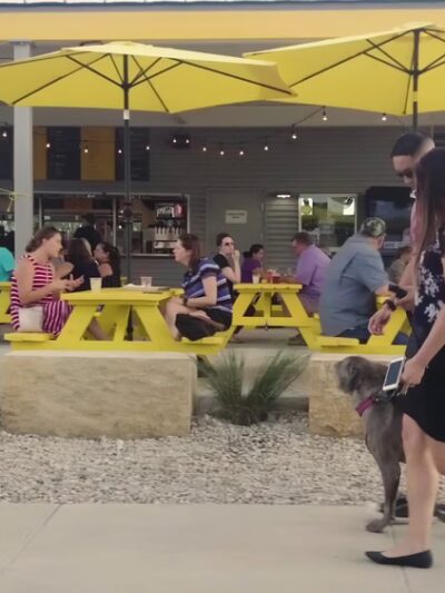 MUTTS Canine Cantina® - Austin - Austin, TX