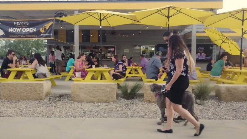 MUTTS Canine Cantina® - Austin - Austin, TX