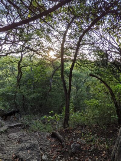 Northwest Balcones Neighborhood Park - Austin, TX