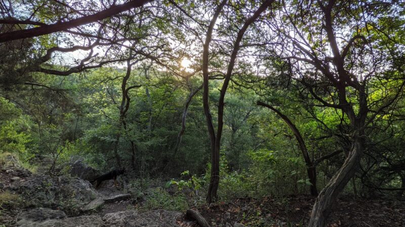 Northwest Balcones Neighborhood Park - Austin, TX
