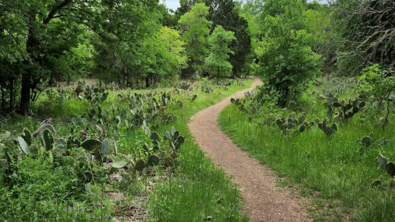 Onion Creek Greenbelt - Austin, TX