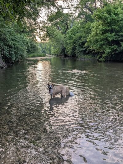 Onion Creek Greenbelt - Austin, TX