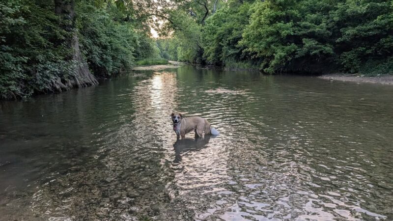 Onion Creek Greenbelt - Austin, TX