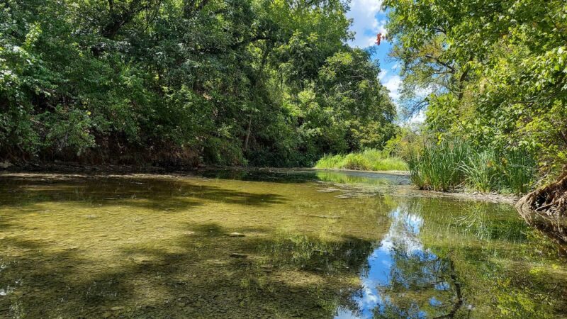 Onion Creek Trailhead - Austin, TX