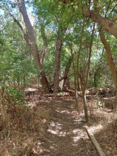 Onion Creek Trailhead - Austin, TX
