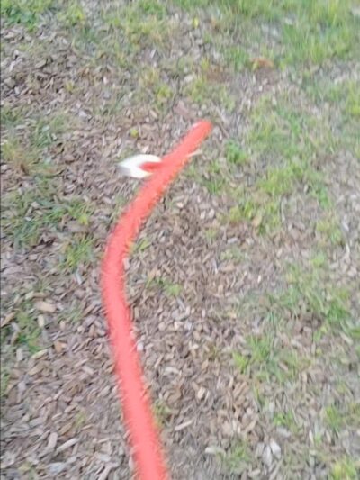 Quail Creek Neighborhood Park - Austin, TX