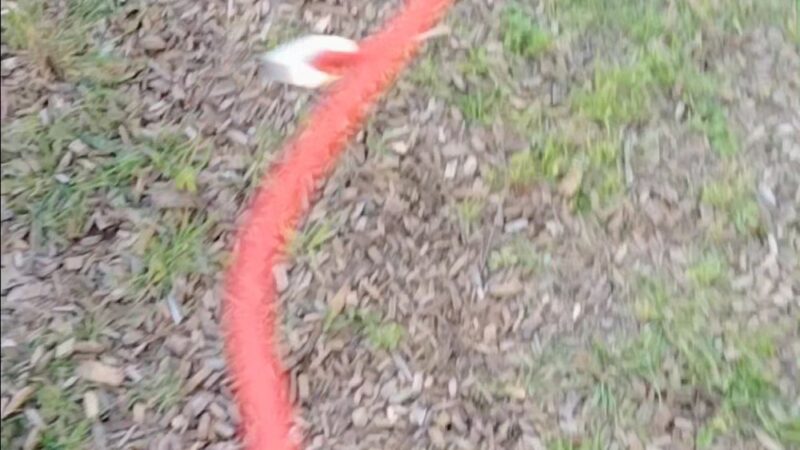 Quail Creek Neighborhood Park - Austin, TX