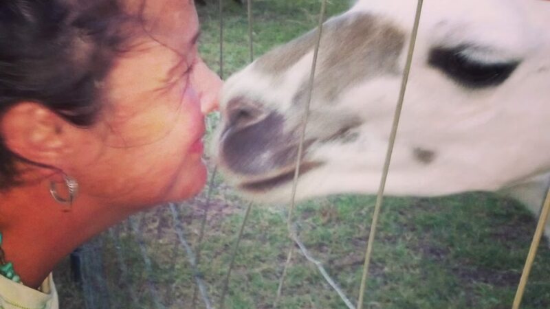 Renaissance Park - Austin, TX