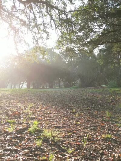South Austin Neighborhood Park - Austin, TX