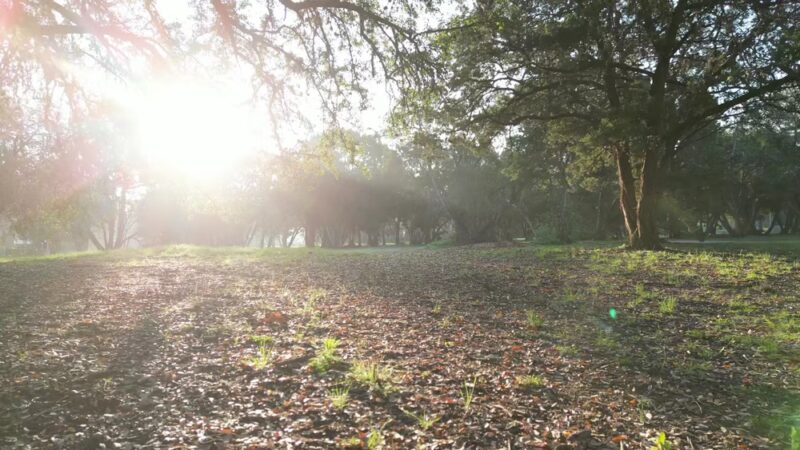 South Austin Neighborhood Park - Austin, TX