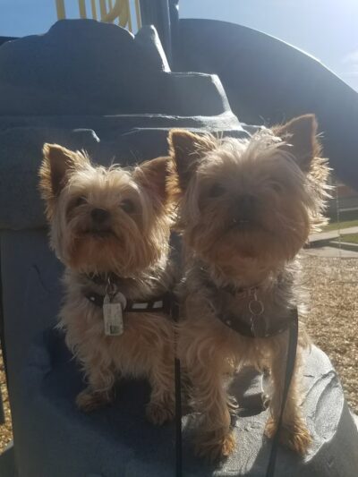 St. Elmo School Park - Austin, TX