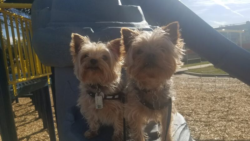 St. Elmo School Park - Austin, TX