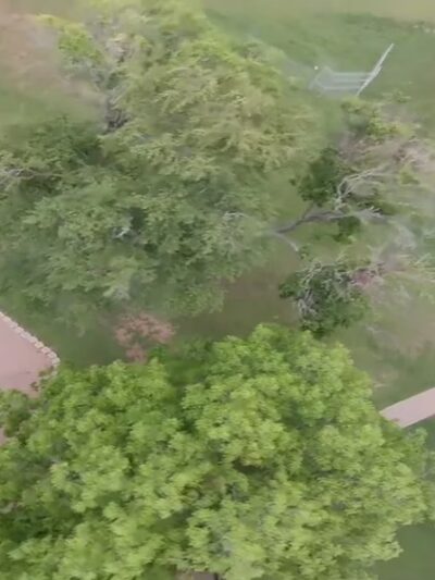 Sullivan Park - Austin, TX