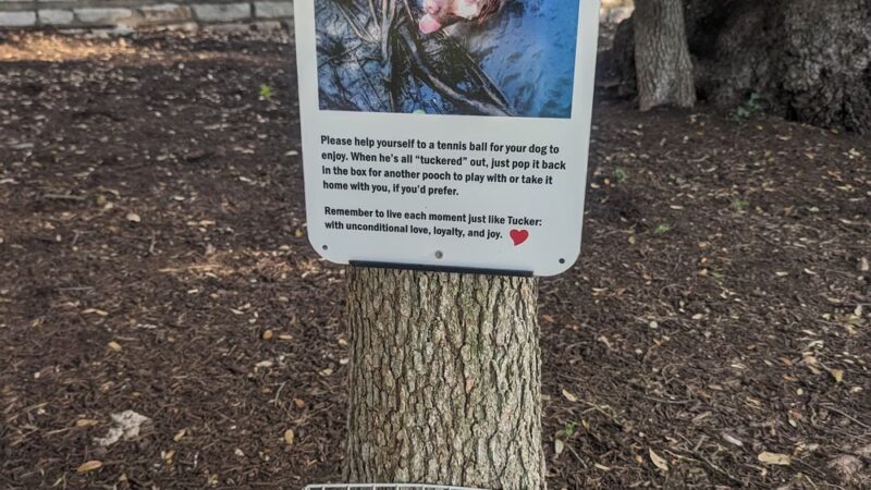 The Tucker Bowhart Dog Park - Austin, TX