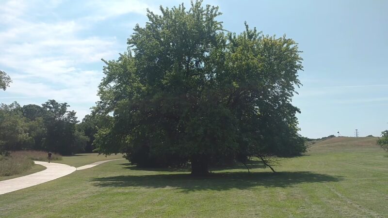 Walnut Creek Metropolitan Park - Austin, TX