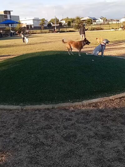 Willow Bend Park - Austin, TX