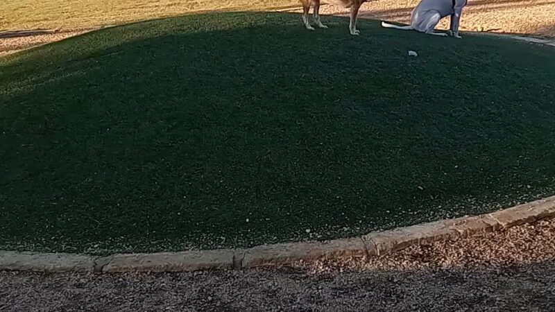 Willow Bend Park - Austin, TX