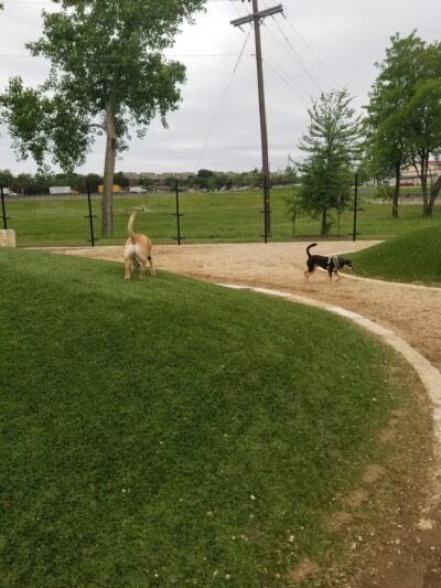 Willow Bend Park - Austin, TX