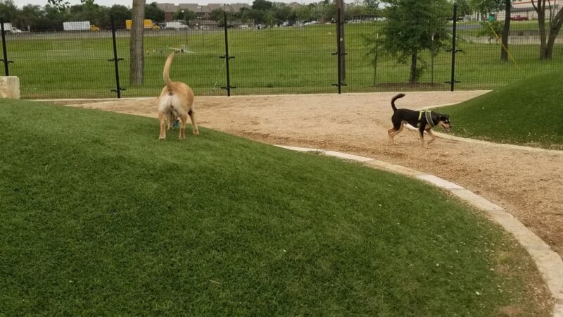 Willow Bend Park - Austin, TX