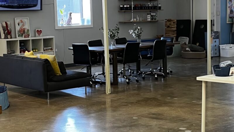 Work and Woof - Austin, TX